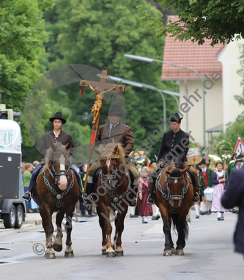 02.07.2017, Fischerhochzeit, Tutzing, Festzug

Hier nur Vorschaubilder !