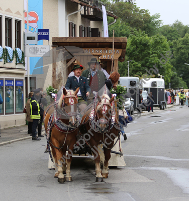 02.07.2017, Fischerhochzeit, Tutzing, Festzug

Hier nur Vorschaubilder !