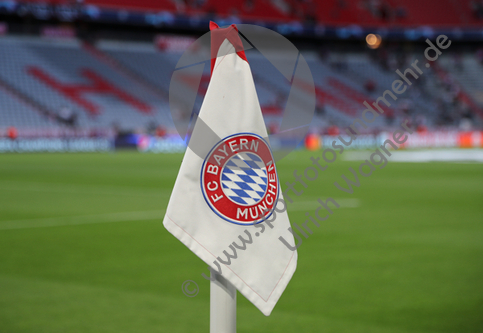 20.09.2023, FC Bayern Muenchen - Manchester United, Champions League

Hier nur Vorschaubilder !