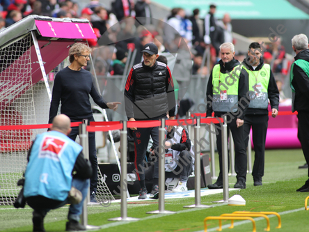 13.05.2023, FC Bayern Muenchen - FC Schalke 04

Hier nur Vorschaubilder !