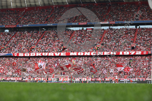 13.04.2024, FC Bayern Muenchen - 1.FC Koeln

Hier nur Vorschaubilder !