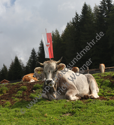 09.2014, Suedtirol,
Meran und Umgebung

Foto: Ulrich Wagner

Originalbild: 5184 x 3456

BESCHREIBUNG SIEHE KEYWORDS !!