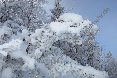 07.02.2015, Hirschberg

Foto: Ulrich Wagner