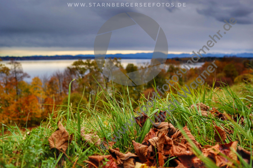 04.11.2019, Tutzing, Starnberger See

Hier nur Vorschaubilder !