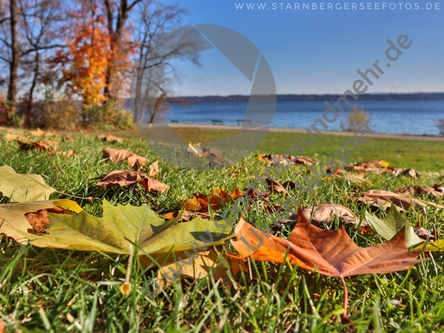 18.11.2019, Tutzing, Starnberger See

Hier nur Vorschaubilder !