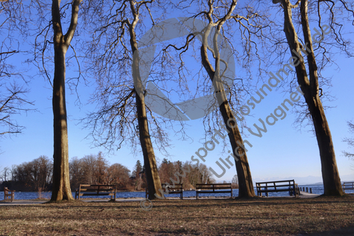 10.03.2022 , Feldafing, Starnberger See

Hier nur Vorschaubilder !