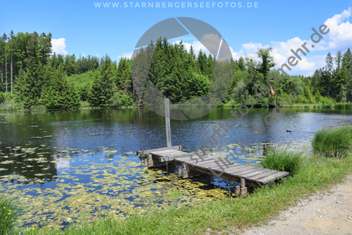 03.06.2021, Bernried, Nussberger Weiher

Hier nur Vorschaubilder !