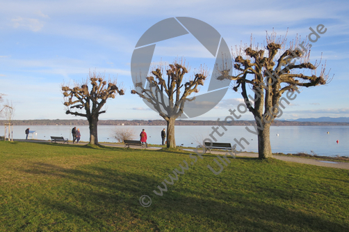 13.02.2024 ,Tutzing, Starnberger See

Hier nur Vorschaubilder !