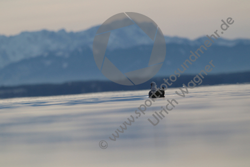 27.12.2020, Starnberg, Starnberger See

Hier nur Vorschaubilder !