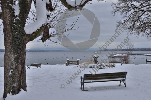 18.01.2021, Tutzing, Starnberger See

Hier nur Vorschaubilder !