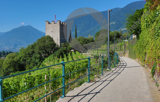 09.07.2020, Suedtirol, Meran und Umgebung

Hier nur Vorschaubilder !