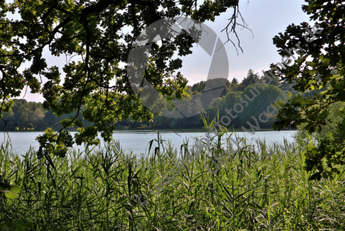 18.07.2019,Possenhofen bis Tutzing, Starnberger See

Hier nur Vorschaubilder !