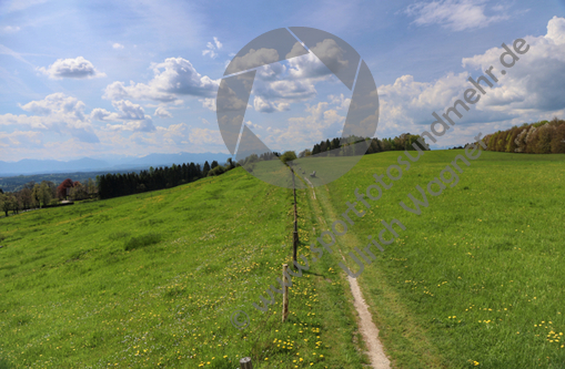 05.05.2023 ,Tutzing, Starnberger See

Hier nur Vorschaubilder !