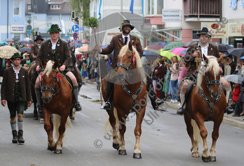 02.07.2017, Fischerhochzeit, Tutzing, Festzug

Hier nur Vorschaubilder !