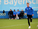 02.10.2024, TSV 1860 Muenchen, Training

Hier nur Vorschaubilder !