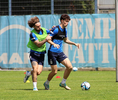 22.06.2024, TSV 1860 Muenchen, Trainingsauftakt

Hier nur Vorschaubilder !