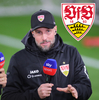 24.10.2024, VFB Stuttgart

Hier nur Vorschaubilder !