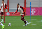 22.10.2024, FC Bayern Muenchen, Abschlusstraining

Hier nur Vorschaubilder !