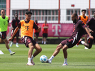 20.07.2024, FC Bayern Muenchen, Training

Hier nur Vorschaubilder !