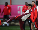 05.11.2024, FC Bayern Muenchen, Abschlusstraining CL

Hier nur Vorschaubilder !