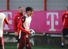 05.11.2024, FC Bayern Muenchen, Abschlusstraining CL

Hier nur Vorschaubilder !