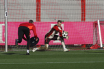 05.11.2024, FC Bayern Muenchen, Abschlusstraining CL

Hier nur Vorschaubilder !