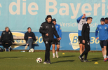 05.11.2024, TSV 1860 Muenchen, Training

Hier nur Vorschaubilder !