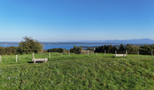 07.09.2024 ,Tutzing, Starnberger See

Hier nur Vorschaubilder !