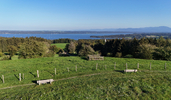 07.09.2024 ,Tutzing, Starnberger See

Hier nur Vorschaubilder !