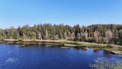 19.09.2024 ,Tutzing, Starnberger See

Hier nur Vorschaubilder !