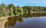 29.09.2024, Bernried, Starnberger See

Hier nur Vorschaubilder !