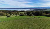 06.10.2024 ,Tutzing, Starnberger See

Hier nur Vorschaubilder !