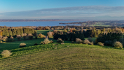 28.10.2024 ,Tutzing, Starnberger See

Hier nur Vorschaubilder !