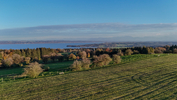 28.10.2024 ,Tutzing, Starnberger See

Hier nur Vorschaubilder !