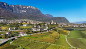 29.10.2024, Suedtirol, Meran und Umgebung, Kaltern

Hier nur Vorschaubilder !