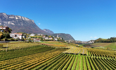 29.10.2024, Suedtirol, Meran und Umgebung, Kaltern

Hier nur Vorschaubilder !