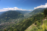 05.07.2024, Dorf Tirol, Hochmuth

Hier nur Vorschaubilder !