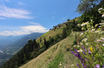 05.07.2024, Dorf Tirol, Hochmuth

Hier nur Vorschaubilder !