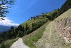 05.07.2024, Dorf Tirol, Hochmuth

Hier nur Vorschaubilder !