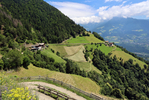 05.07.2024, Dorf Tirol, Hochmuth

Hier nur Vorschaubilder !