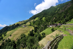 05.07.2024, Dorf Tirol, Hochmuth

Hier nur Vorschaubilder !