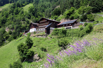 05.07.2024, Dorf Tirol, Hochmuth

Hier nur Vorschaubilder !