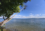 23.07.2024 ,Tutzing bis Feldafing, Starnberger See

Hier nur Vorschaubilder !