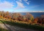 14.11.2024 ,Tutzing, Starnberger See

Hier nur Vorschaubilder !