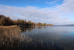 14.11.2024 ,Tutzing, Starnberger See

Hier nur Vorschaubilder !