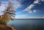 14.11.2024 ,Tutzing, Starnberger See

Hier nur Vorschaubilder !