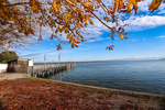 14.11.2024 ,Tutzing, Starnberger See

Hier nur Vorschaubilder !