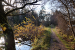 15.11.2024 ,Tutzing, Starnberger See

Hier nur Vorschaubilder !