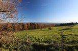 15.11.2024 ,Tutzing, Starnberger See

Hier nur Vorschaubilder !