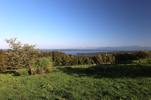 07.09.2024 ,Tutzing, Starnberger See

Hier nur Vorschaubilder !